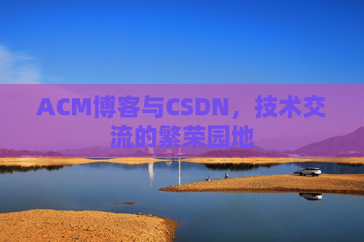 ACM博客与CSDN，技术交流的繁荣园地
